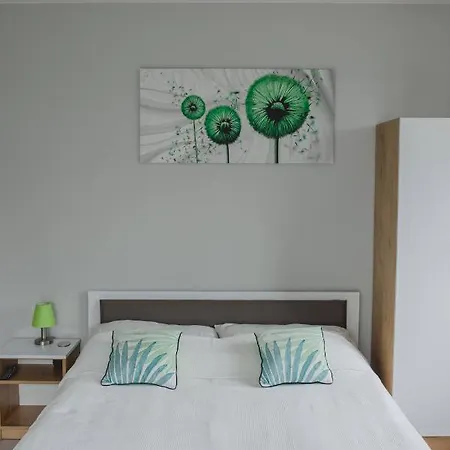 Goscinne Amir ホームステイ Karwieńskie Błoto