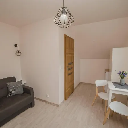 Goscinne Amir ホームステイ *