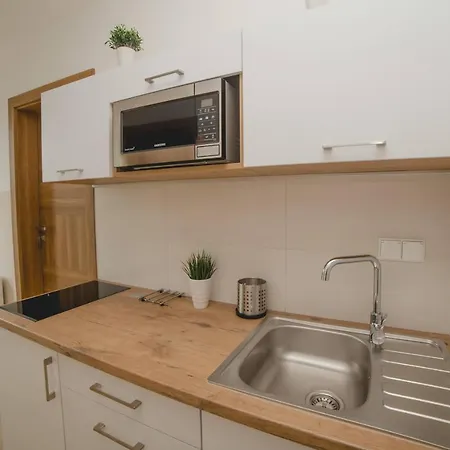 Goscinne Amir ホームステイ